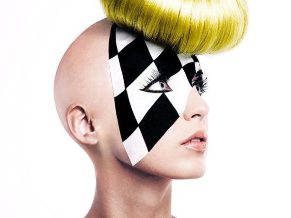 schmidt georgina alternativas 10