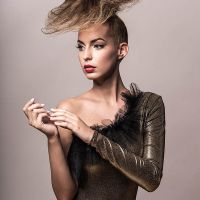 hh n schmidt georgina 2 